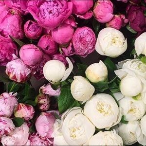 Meet your Posher, Christine